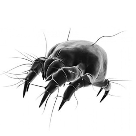 Απωθητικό για Ακάρεα με Υπερήχους - Ultrasonic Stop Reject Acarid Απωθητικό για Ακάρεα με Υπερήχους - Ultrasonic Stop Reject Acarid