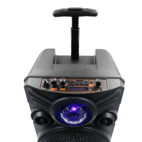 Φορητό Ασύρματο Ηχείο 8″ Bluetooth FM, USB, TF, AUX 20W TWS με Λαβή Μεταφοράς BT-2077 Μαύρο