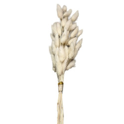 Μπουκέτο Αποξηραμένα Bunny Tails 25 Κλαδιά Μπεζ ~60cm Homie 423128