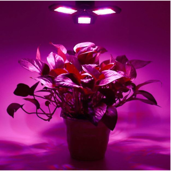 Φωτιστικό LED Ανάπτυξης Φυτών E27-220V Αδιάβροχο Κόκκινο και Μπλε φώς 144 LED-ΟΕΜ-300w