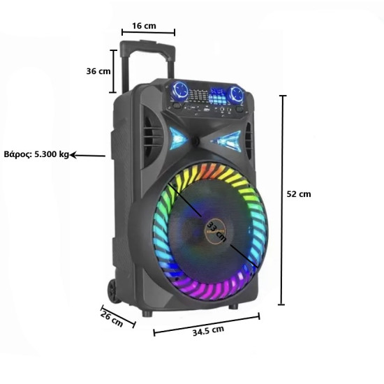 Ασύρματο Φορητό Ηχείο Καραόκε Με Led Και Bluetooth KOLAV-F1215 Μαύρο 