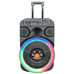 Μεγάλο Φορητό Ηχείο 100W με Ασύρματο Μικρόφωνο Καραόκε, Bluetooth, FM Radio, USB, Κάρτα Μνήμης, Τηλεχειριστήριο, RGB Φωτισμό, OEM