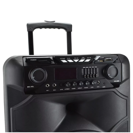 Επαγγελματικό Ασύρματο Bluetooth Ηχείο 15″ FM & 2 Μικρόφωνα TWS με Φωτισμό Disco LED Meirende MR-108 – Μαύρο