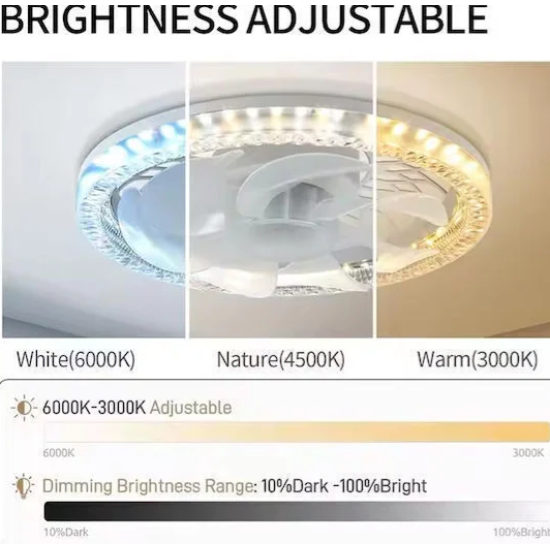 Ανεμιστήρας Οροφής 30cm E27 με Φως και Τηλεχειριστήριο 60W RZ-177 Λευκός